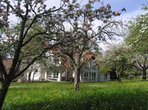 una casa en un campo de césped con árboles en Hof Bauer, en Zaisenhausen