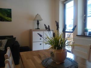 Fotografia z galérie ubytovania Apartament Akuratny Zakopane v Zakopanom
