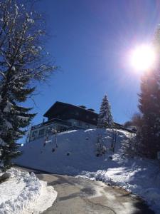 Blue Mountain Hotel v zimě