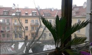 Fotografia z galérie ubytovania Marialoe vo Varšave