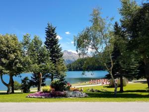 einen Park mit einem See, Bäumen und einem Berg in der Unterkunft meschihouse - Chesa Engadina in Samedan