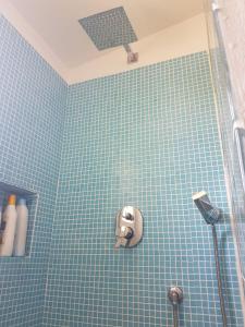 a blue tiled bathroom with a shower with a fan at Ca' Viscomi in San Teodoro