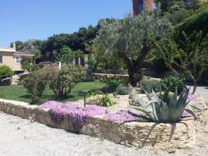 ogród z kaktusem i fioletowymi kwiatami w obiekcie Le Castella B&B Restaurant w mieście Le Castella