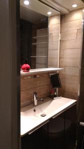 a bathroom with a sink and a mirror at Appartement St Martin in Paris