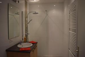 een badkamer met een wastafel en een douche bij Au Temps de Spa Le 7 Heures in Spa