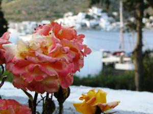 a pink flower with a view of the water at Anna Studios in Katapola