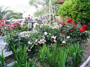 a garden with red and pink flowers and green plants at Anna Studios in Katapola
