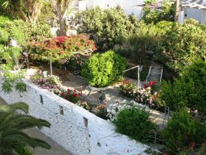 a garden of flowers and plants in a building at Anna Studios in Katapola