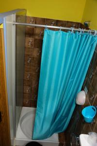 a bathroom with a shower with a blue shower curtain at Le Richelieu in Le Boulou