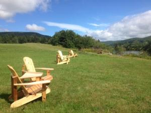 
a wooden bench sitting in the middle of a grassy field at Cajun Cedar Log Cottages in Margaree Forks
