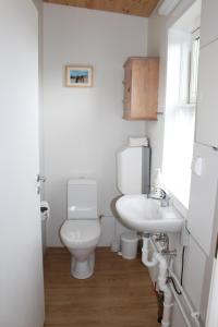 a bathroom with a toilet and a sink at Fornhagi 2 in Akureyri