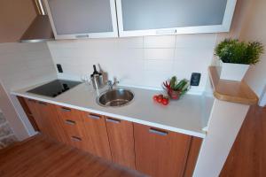 Kuchyňa alebo kuchynka v ubytovaní Apartmani Ivanov Poljana