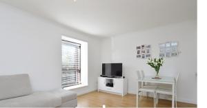 TV a/nebo společenská místnost v ubytování Edinburgh Seaside Apartment