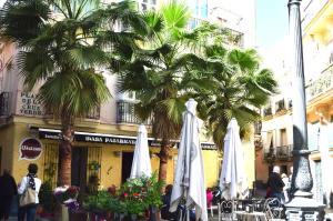 twee witte parasols en palmbomen voor een gebouw bij La Casa del Reloj Cadiz in Cádiz