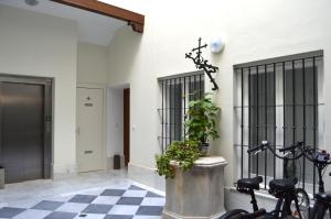 een hal van een gebouw met een plant in een emmer bij La Casa del Reloj Cadiz in Cádiz