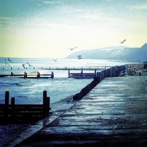 a group of birds flying over a pier in the water at The White Horse in Overstrand