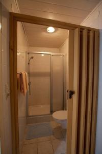 łazienka z prysznicem i toaletą w obiekcie Gasthof Jaegerwirt w mieście Zederhaus