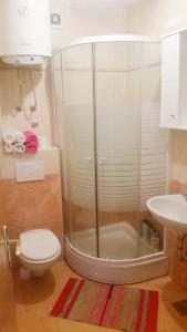 a bathroom with a shower and a toilet and a sink at Apartments Linda in Drasnice +40 photos
