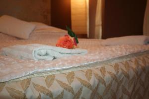 Fotografia z galérie ubytovania Apartament Manhattan w Olsztynie v destinácii Olsztyn