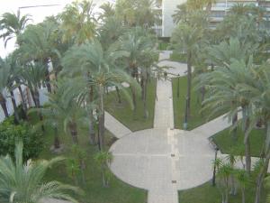 Vonkajšia záhrada v ubytovaní Palmeral de Torrevieja