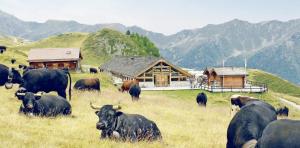 Paesaggio naturale nelle vicinanze dell'hotel