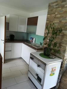 Kuchyň nebo kuchyňský kout v ubytování Ferienhaus Tüchler
