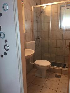 a bathroom with a toilet and a shower and a sink at Apartments Milica in Mirce