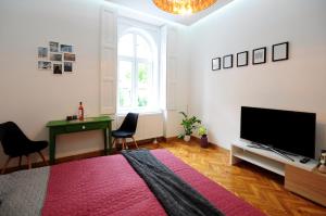 Televízia a/alebo spoločenská miestnosť v ubytovaní Stylish Apartman Szeged