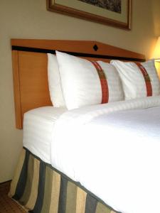 Postel nebo postele na pokoji v ubytování Holiday Inn Hotel & Suites Osoyoos by IHG