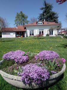 Aed väljaspool majutusasutust B&B Casa Danoi