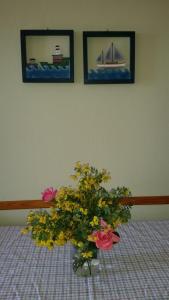 Fotografie z fotogalerie ubytování Apartments Golub v destinaci Krk