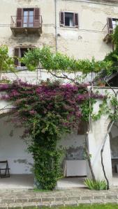 Zahrada ubytování Palazzo De Fabritiis