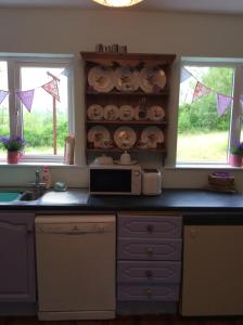 a kitchen with a counter with a microwave and windows at The Hen House in Carrick on Shannon