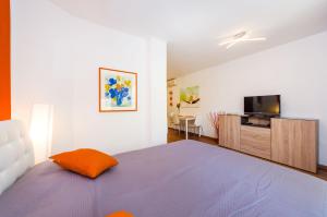 Televízia a/alebo spoločenská miestnosť v ubytovaní Evergreen Apartments Zadar