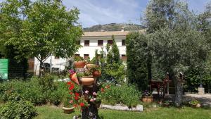 a tree with flower pots on it in a garden at Apartamentos Arroyo Frío in Arroyo Frio