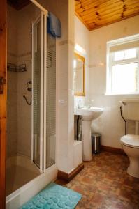 La salle de bains est pourvue d'une douche, d'un lavabo et de toilettes. dans l'établissement Seabreeze Apartment, à Renvyle