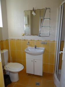 a bathroom with a toilet and a sink and a mirror at Vila Smarald Apartments in Neptun +26 photos