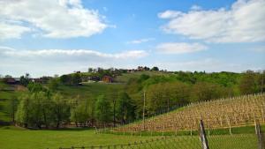 Fotografie z fotogalerie ubytování Holiday Home Fijolica v destinaci Štrigova