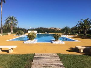a large swimming pool with palm trees in a park at Oliva Nova Casas del Mar in Oliva