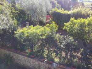 O grădină în afara Nel Giardino Fiorito
