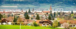 a small town with houses and a green field at Bed & Breakfast Region Murtensee in Münchenwiler