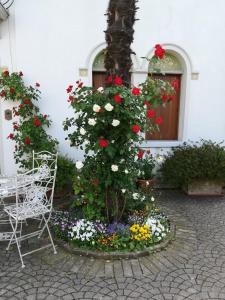 a chair and flowers in front of a building at Albergo La Meridiana in Portogruaro