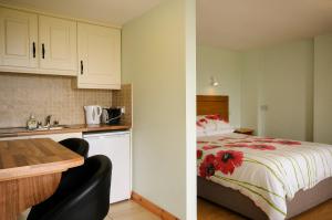 eine Küche und ein Schlafzimmer mit einem Bett in der Unterkunft Seabreeze Junior Suite Renvyle in Renvyle