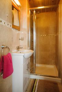 a bathroom with a sink and a shower at Seabreeze Junior Suite Renvyle in Renvyle