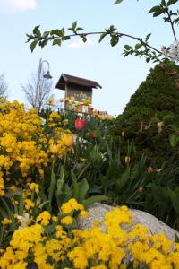 A garden outside Agritur Cristina