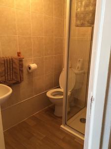 a bathroom with a toilet and a glass shower at Camelot House in Blackpool