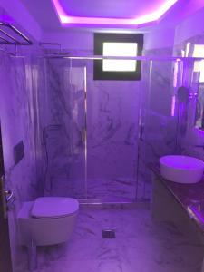 a bathroom with a shower and a toilet and a sink at Vergos Hotel in Vourvourou