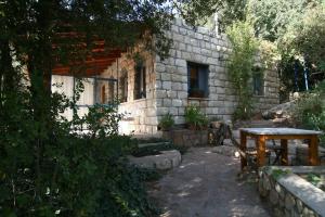 Giardino di Zimmers at the Forest