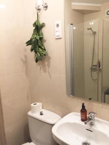 a bathroom with a toilet and a sink and a mirror at Lar Atlántica in Vigo