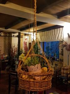 a basket with plants in it hanging from a ceiling at Bistro-Pension La Teleferic in Sinaia